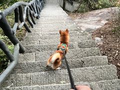 -罗田薄刀峰风景区