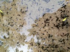 -碓臼峪自然风景区