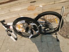 -道路口单车爱瓦士dahon大行