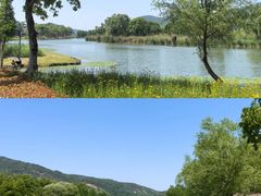 -长广溪湿地公园