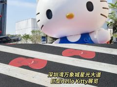 -深圳湾万象城(南山店)