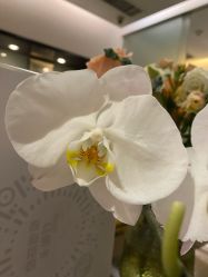 -Oasis Beauty水磨坊科技美肤中心