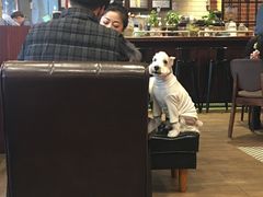 -STREET CHURROS(光复南路260巷店)