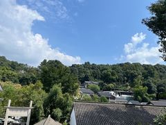 -龙井村