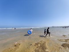 -日照海滨国家森林公园