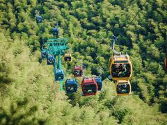 -镇江市南山风景名胜区竹林景区