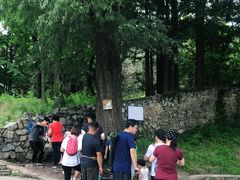 -阳台山自然风景区