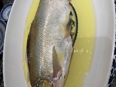清蒸白鱼-南京大牌档(济南万象城店)