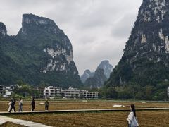 -明仕田园