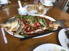 野生鲤鱼-微山岛春天里酒家