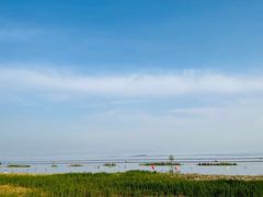 -贡湖湾湿地公园