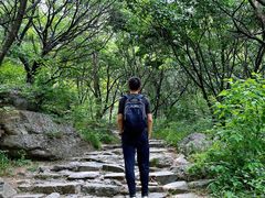 -阳台山自然风景区