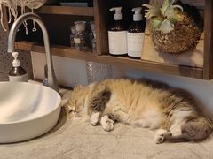 -自由生长植物工作室(深港花卉中心店)