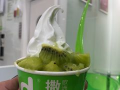 -Salud撒露欧洲冻酸奶(蓝色港湾店)