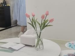 -凡碧诗毛孔清洁收细