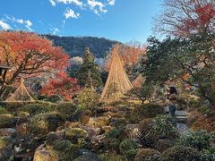 -ステーキハウス吉池