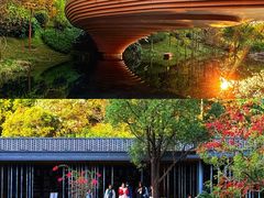 -云溪植物园