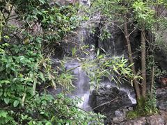 -天目湖山水园