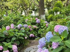 -常州古运河南大街文化旅游区-人民公园