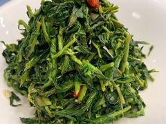 养生枸杞苗-老毛手抓·盐池滩羊非遗手抓(宁夏总店)