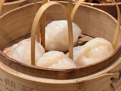 -金鼎轩(方庄天坛店)