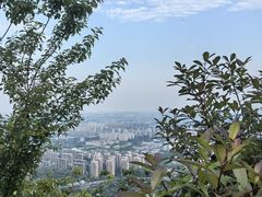 -杭州半山国家森林公园