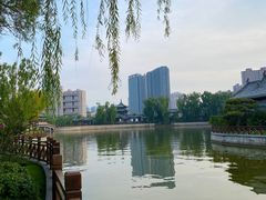 -迎泽公园