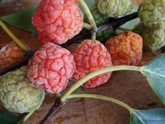 -华莱士·全鸡汉堡(海口学院店)