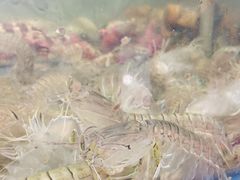 -明记海鲜大排档(巽寮湾店)