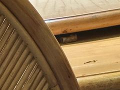 -野山舂·贵州现舂酸汤火锅(鸿通城店)