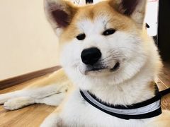 -YCHL Studios健身工作室(市二宫店)