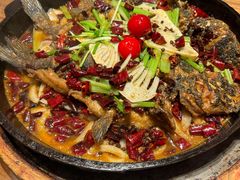 -老板恋上鱼(恒隆广场店)