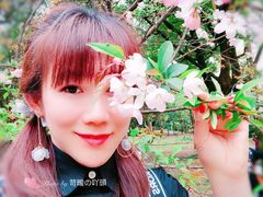 -武汉大学-樱园