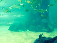 -常州海昌海洋探索馆
