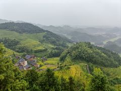 -紫鹊界梯田景区