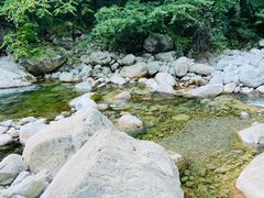 -青峰峡国家森林公园