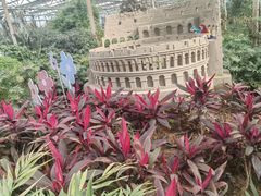 -南宫五洲植物乐园