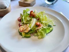 -蝶舍·MAISON PAPILLON