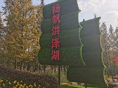 -泗洪洪泽湖湿地景区
