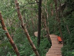 -白草畔自然风景区