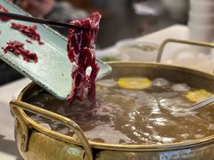 -食潮汕头鲜牛馆(望京保利店)