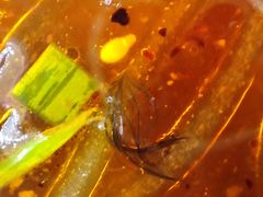 -钟方模白家肥肠粉(春熙店)