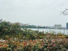 -立新湖公园