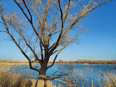 -野鸭湖国家湿地公园