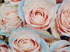 -BEAST野兽派(上海浦东嘉里城店)