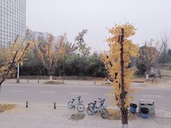 -龙潭水乡