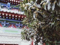 -罔极寺