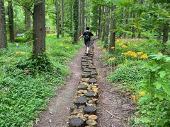 -黄海国家森林公园