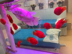 点击看大图 -痘庄科学祛痘国际连锁机构