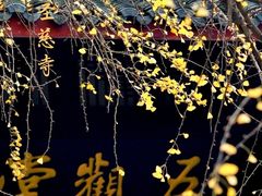 -古大圣慈寺